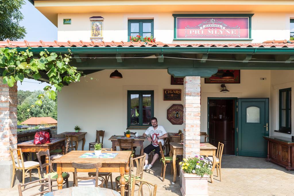 Boutique Hotel Pri Mlyne 洛佐尔诺 外观 照片
